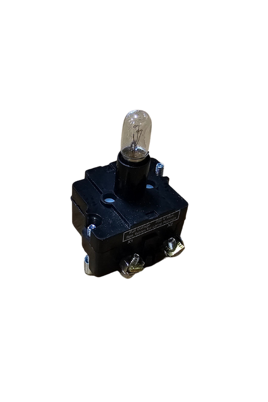 Light Module - 12V