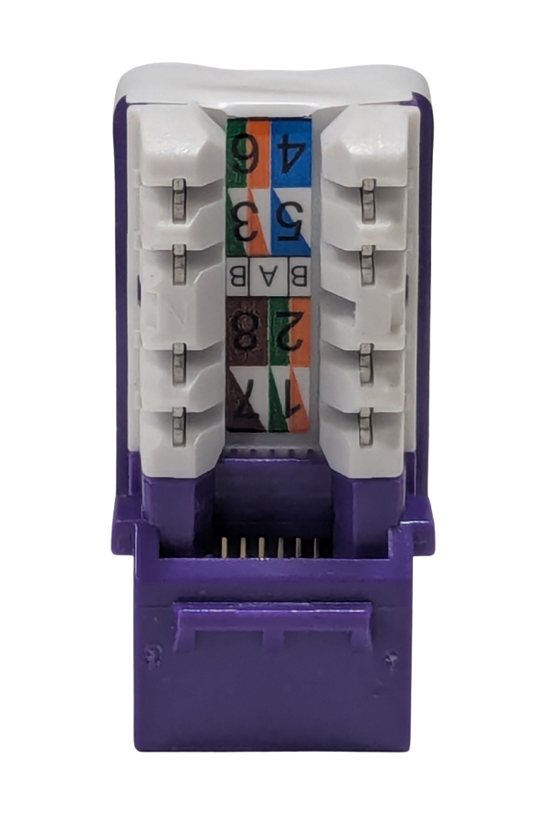 Keystone Jack - Cat6 - Purple