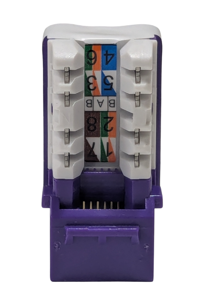 Keystone Jack - Cat6 - Purple