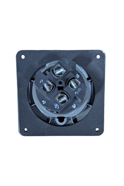 Power Cord - Female Receptacle Plug - 100A - 125/250V